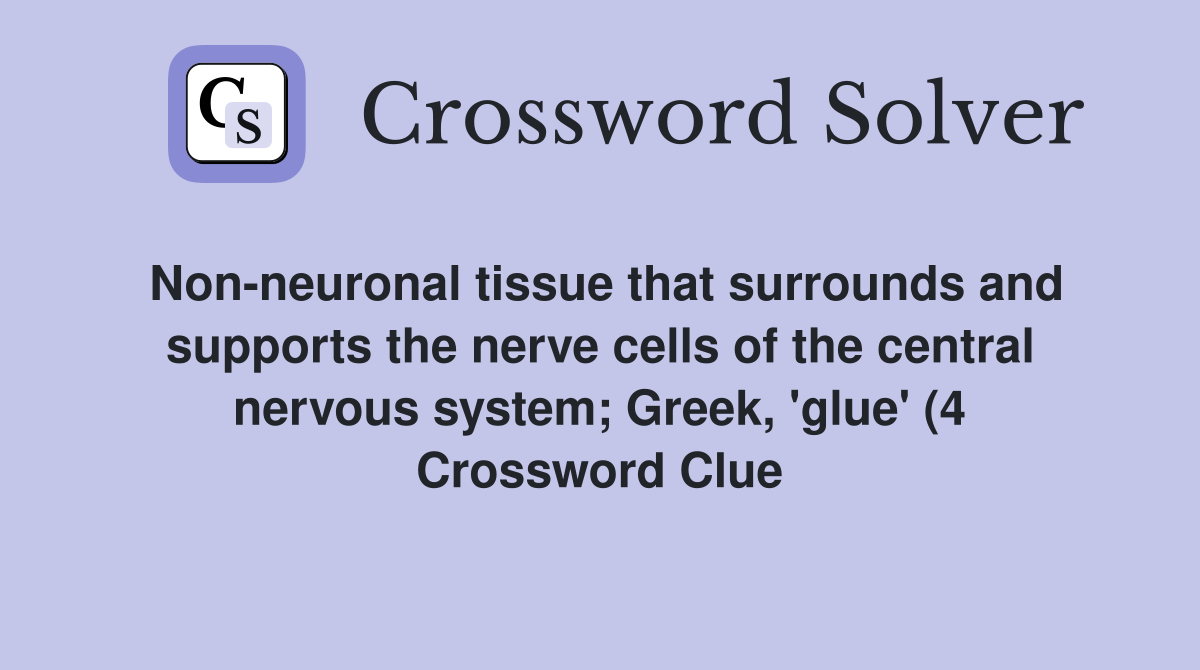 Non neuronal tissue that surrounds and supports the nerve cells of the Non neuronal tissue that surrounds and supports the nerve cells of the