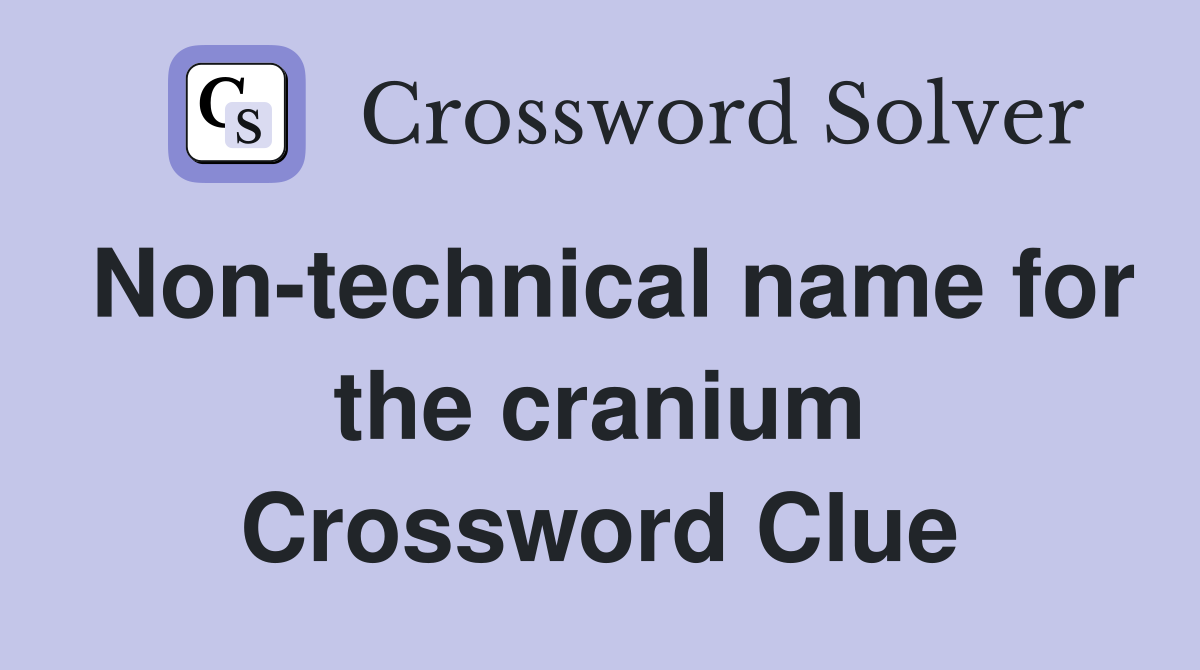 Non-technical name for the cranium Crossword Clue