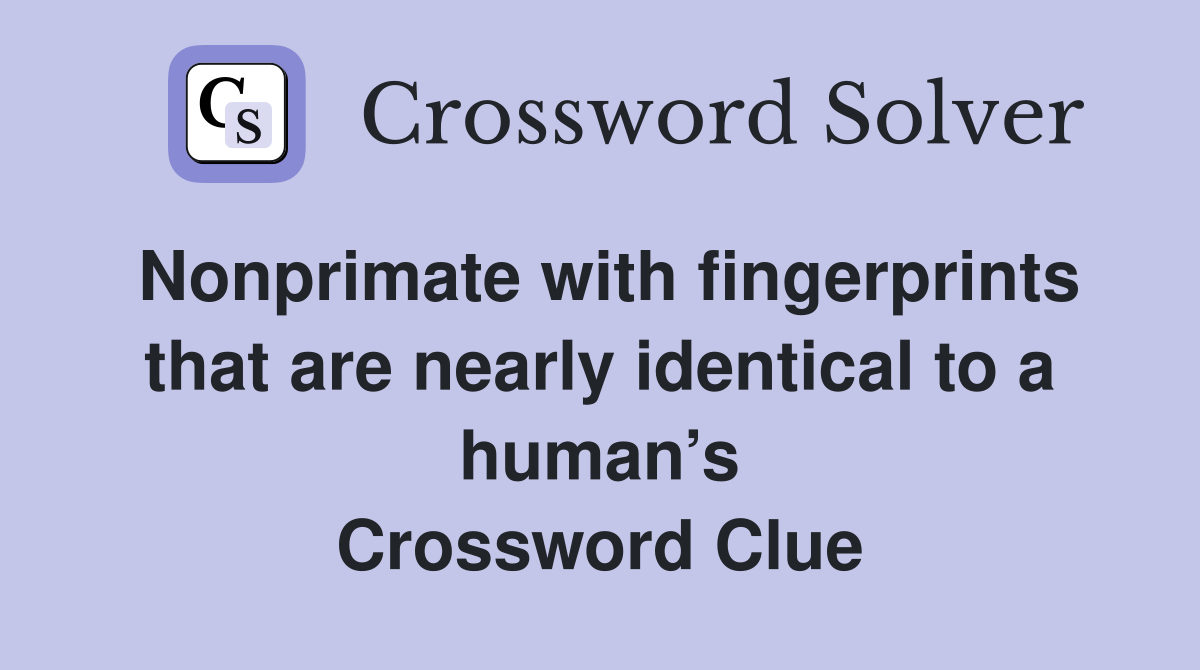 Nonprimate with fingerprints that are nearly identical to a human’s Crossword Clue
