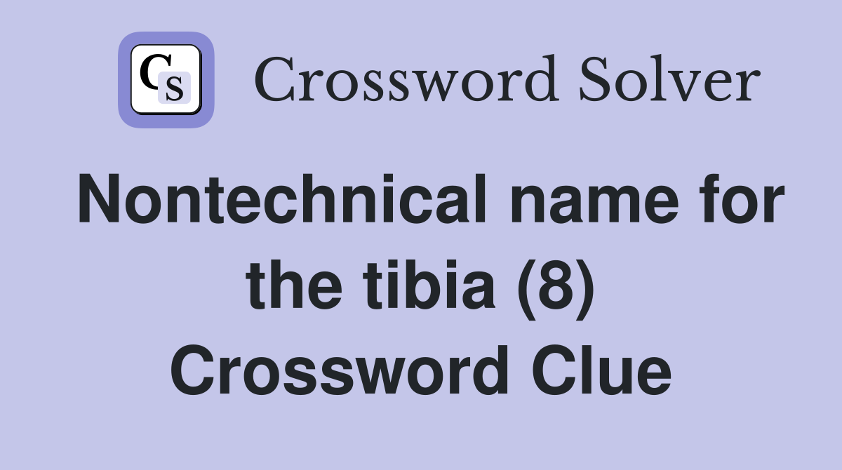 Nontechnical name for the tibia (8) Crossword Clue