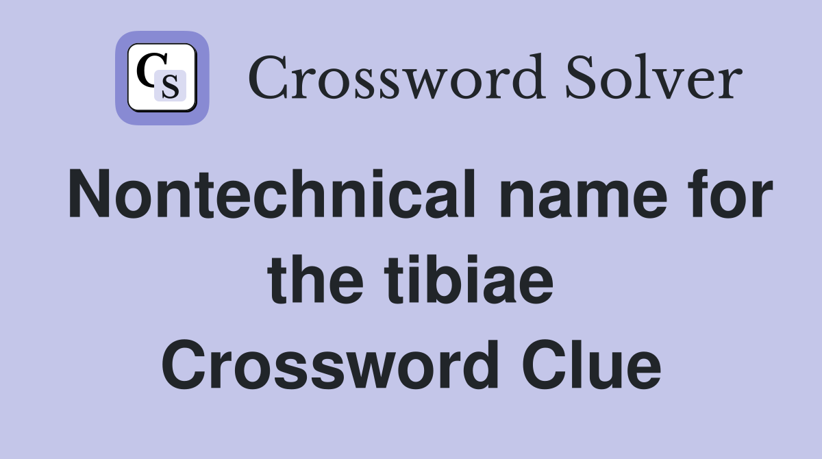Nontechnical name for the tibiae Crossword Clue