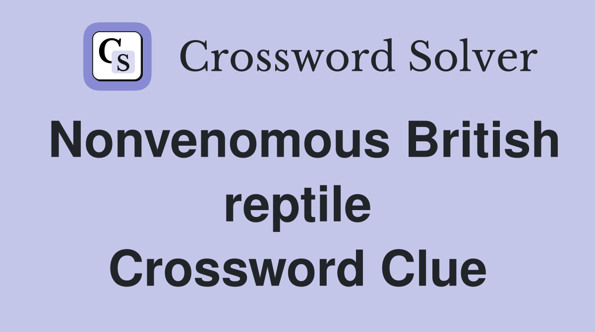 Nonvenomous British reptile Crossword Clue