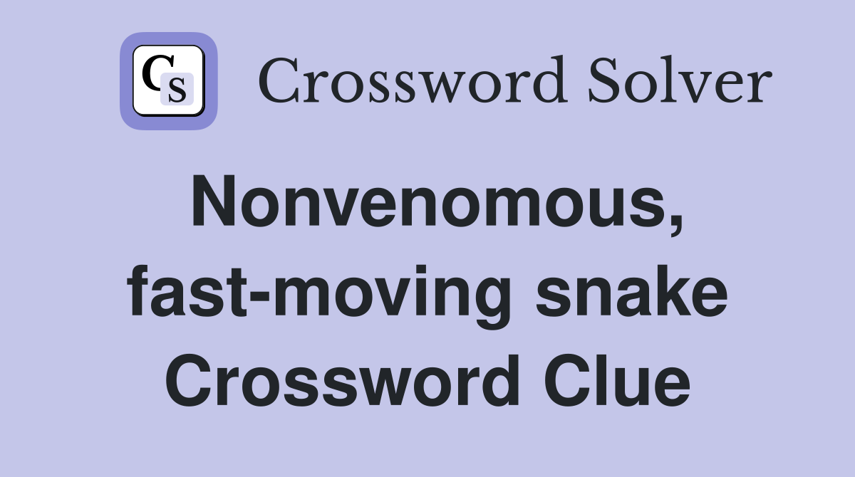 Nonvenomous, fast-moving snake Crossword Clue