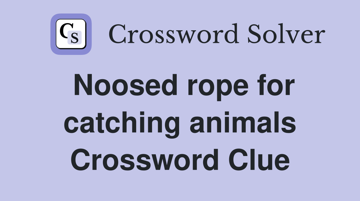 Noosed rope for catching animals Crossword Clue