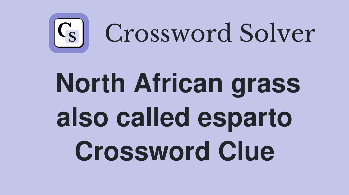 North African grass also called esparto Crossword Clue
