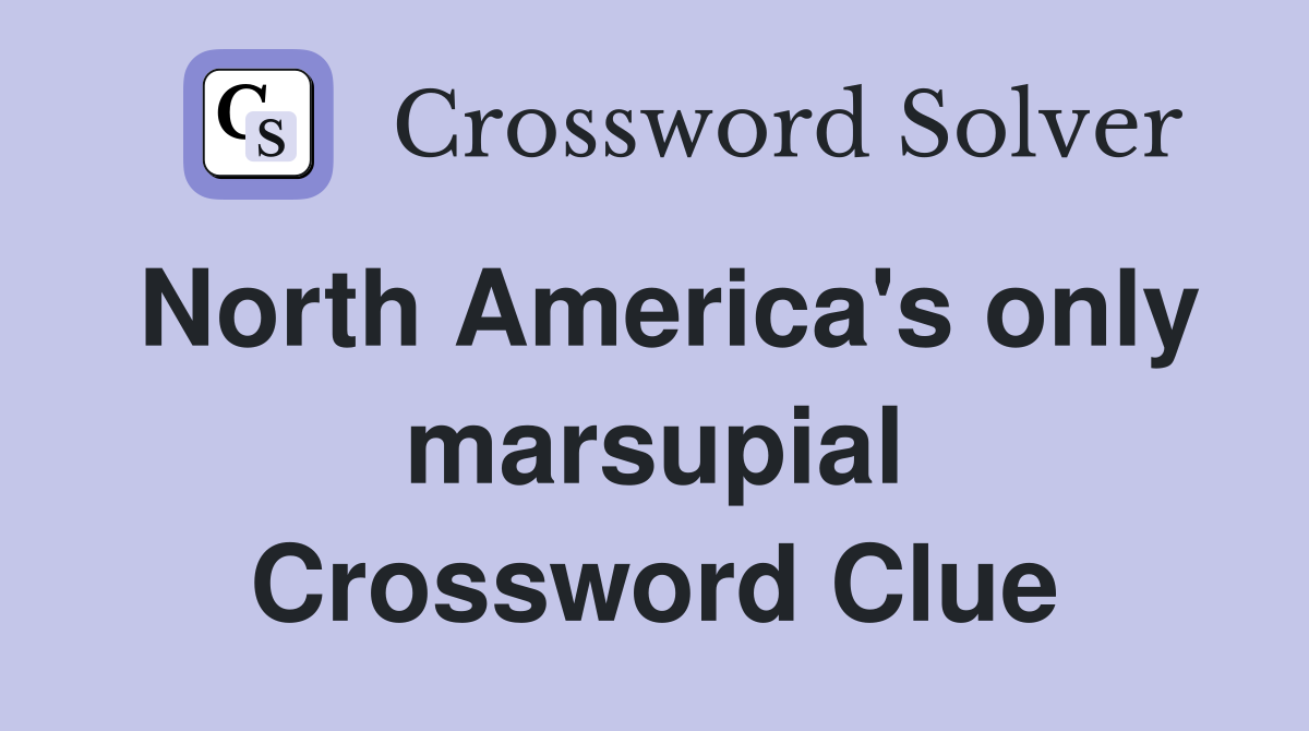 North America's only marsupial Crossword Clue