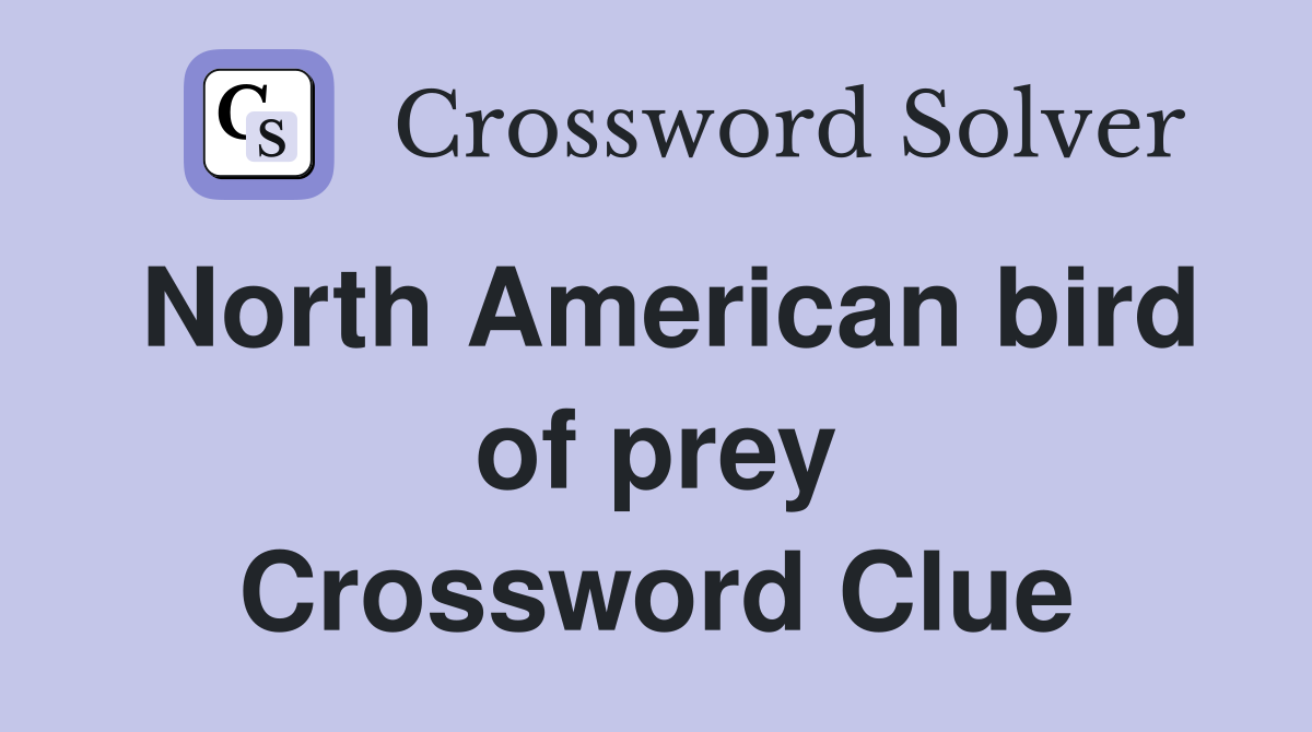 North American bird of prey Crossword Clue