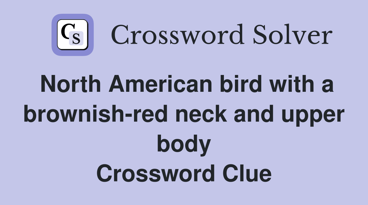 North American bird with a brownish-red neck and upper body Crossword Clue
