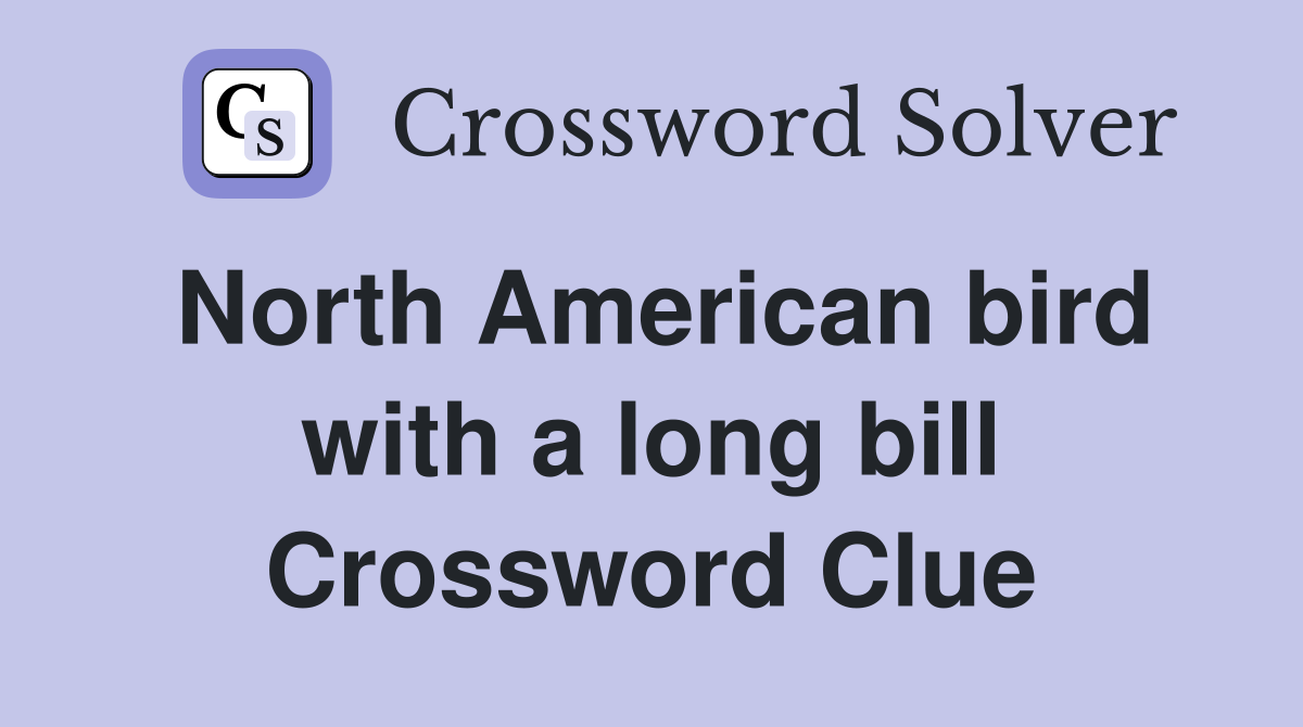 North American bird with a long bill Crossword Clue