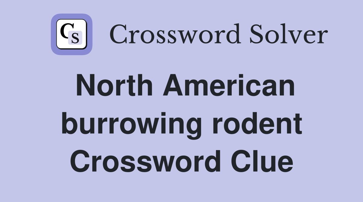 North American burrowing rodent Crossword Clue