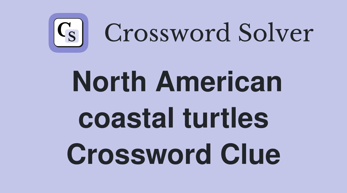 North American coastal turtles Crossword Clue
