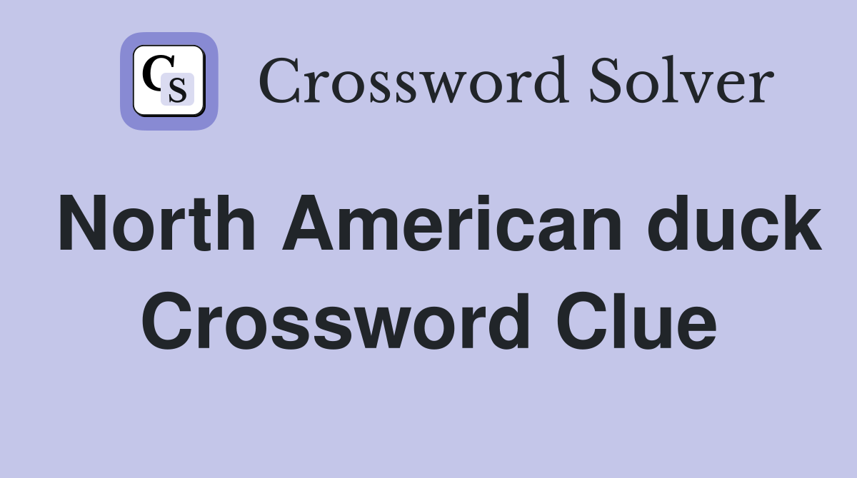 North American duck Crossword Clue