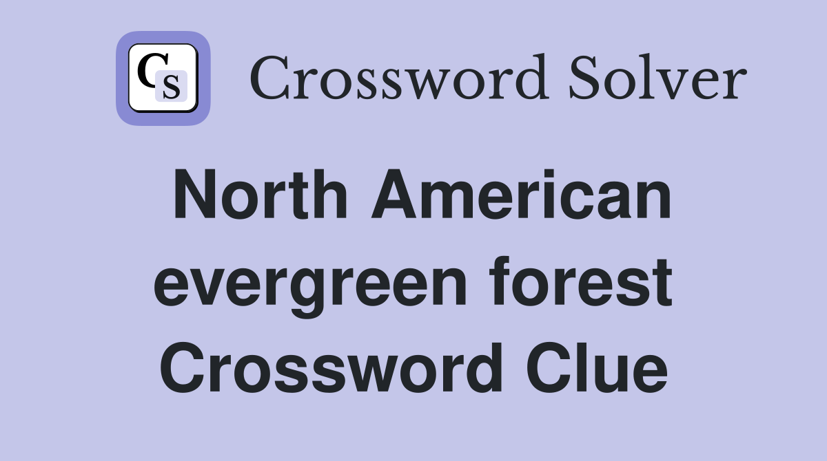 North American evergreen forest Crossword Clue