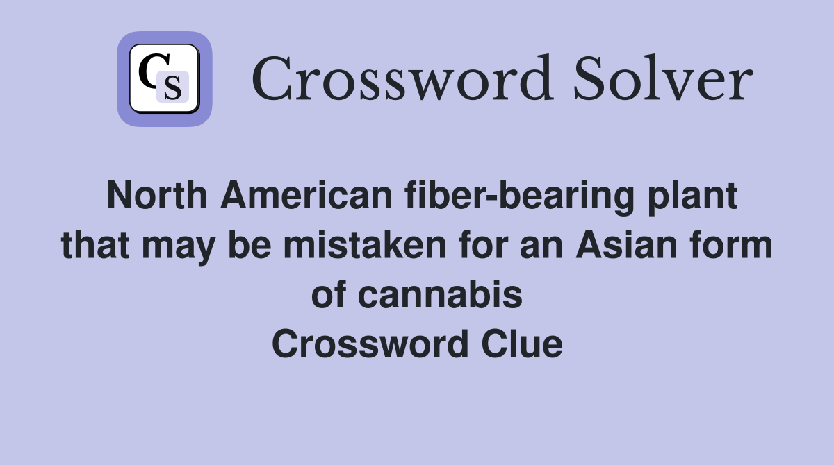 North American fiber-bearing plant that may be mistaken for an Asian form of cannabis Crossword Clue