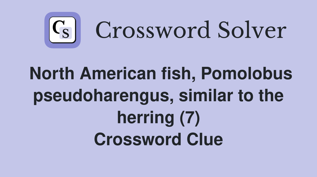 North American fish, Pomolobus pseudoharengus, similar to the herring (7) Crossword Clue