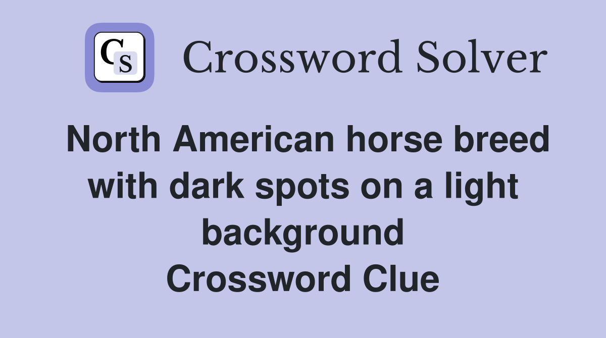 North American horse breed with dark spots on a light background Crossword Clue
