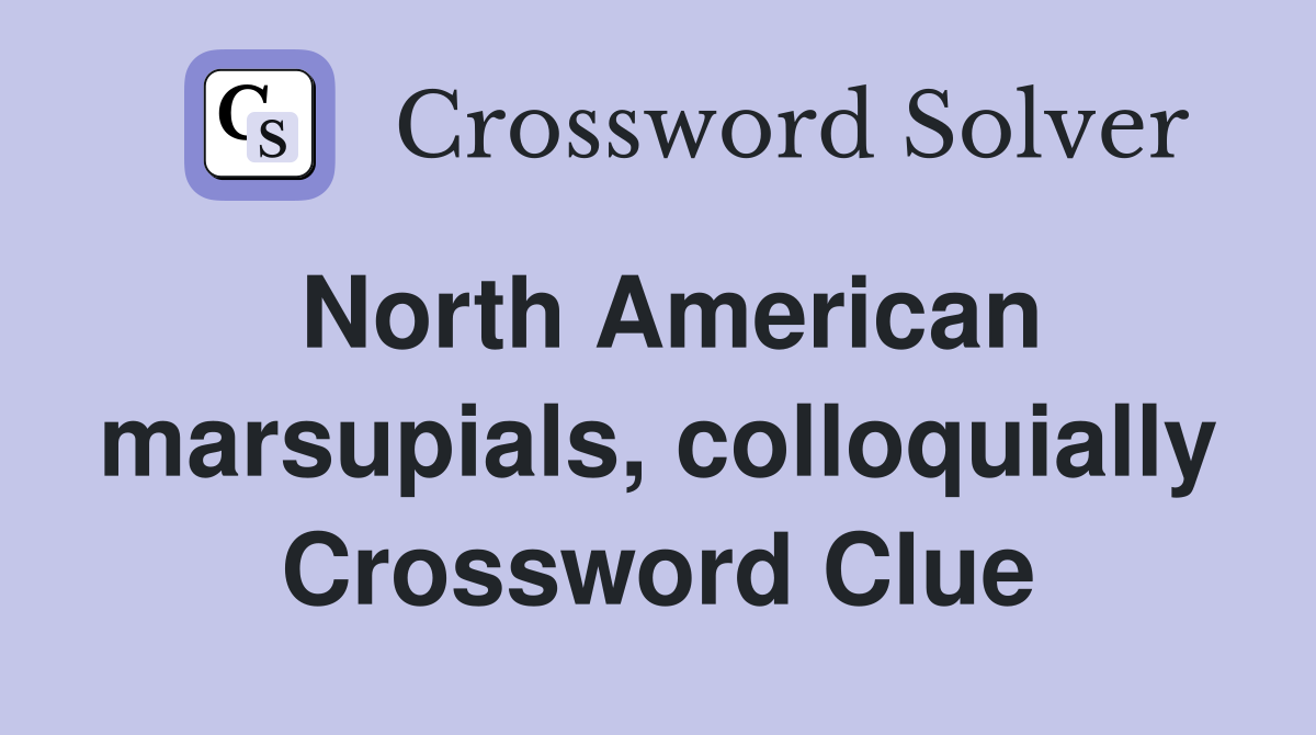 North American marsupials, colloquially Crossword Clue