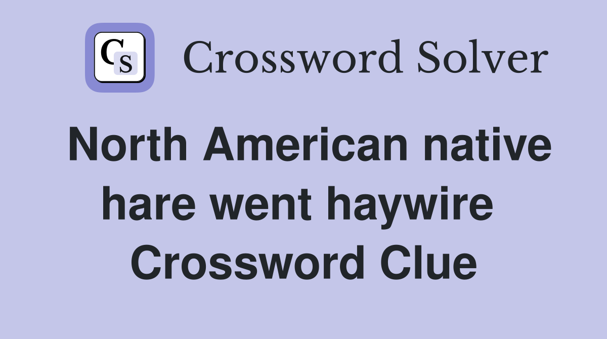 North American native hare went haywire  Crossword Clue