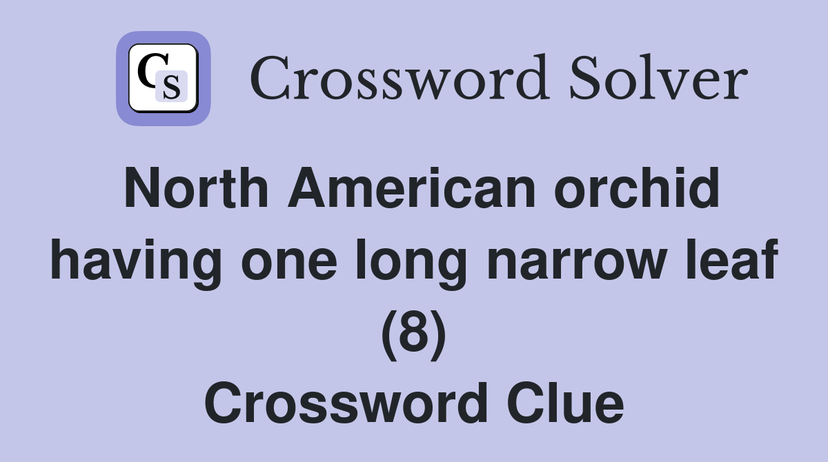 North American orchid having one long narrow leaf (8) Crossword Clue
