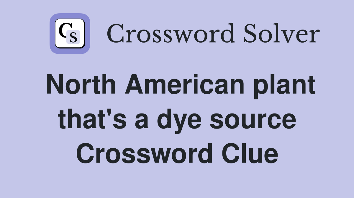 North American plant that's a dye source Crossword Clue