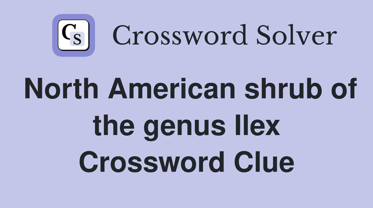 North American shrub of the genus Ilex Crossword Clue