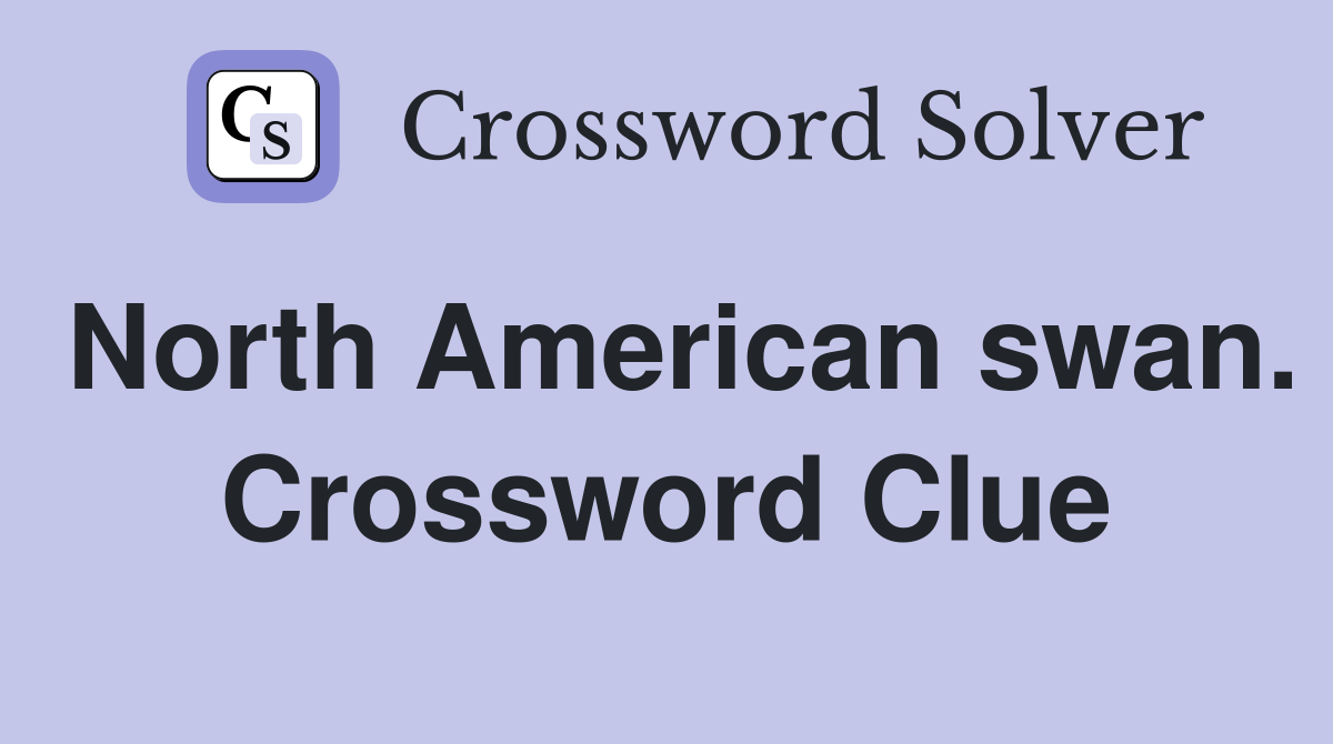 North American swan. Crossword Clue