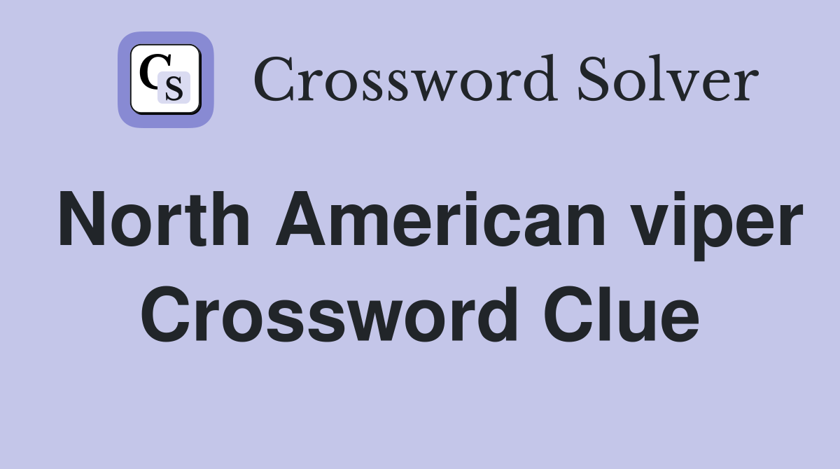North American viper Crossword Clue