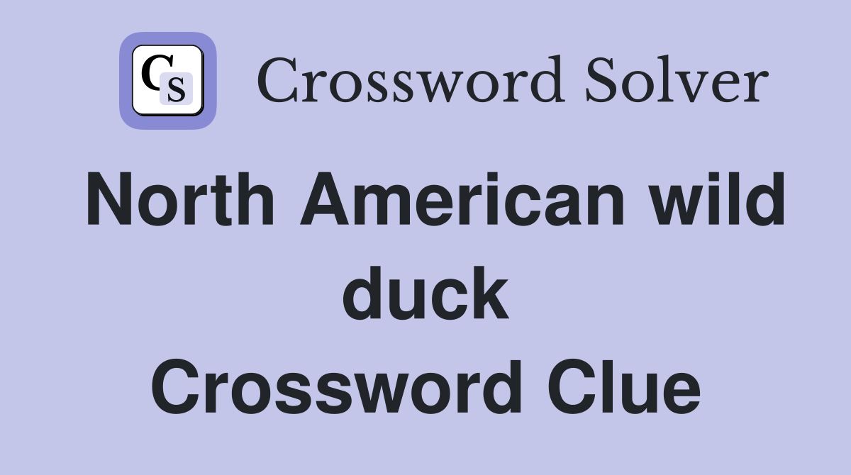 North American wild duck Crossword Clue