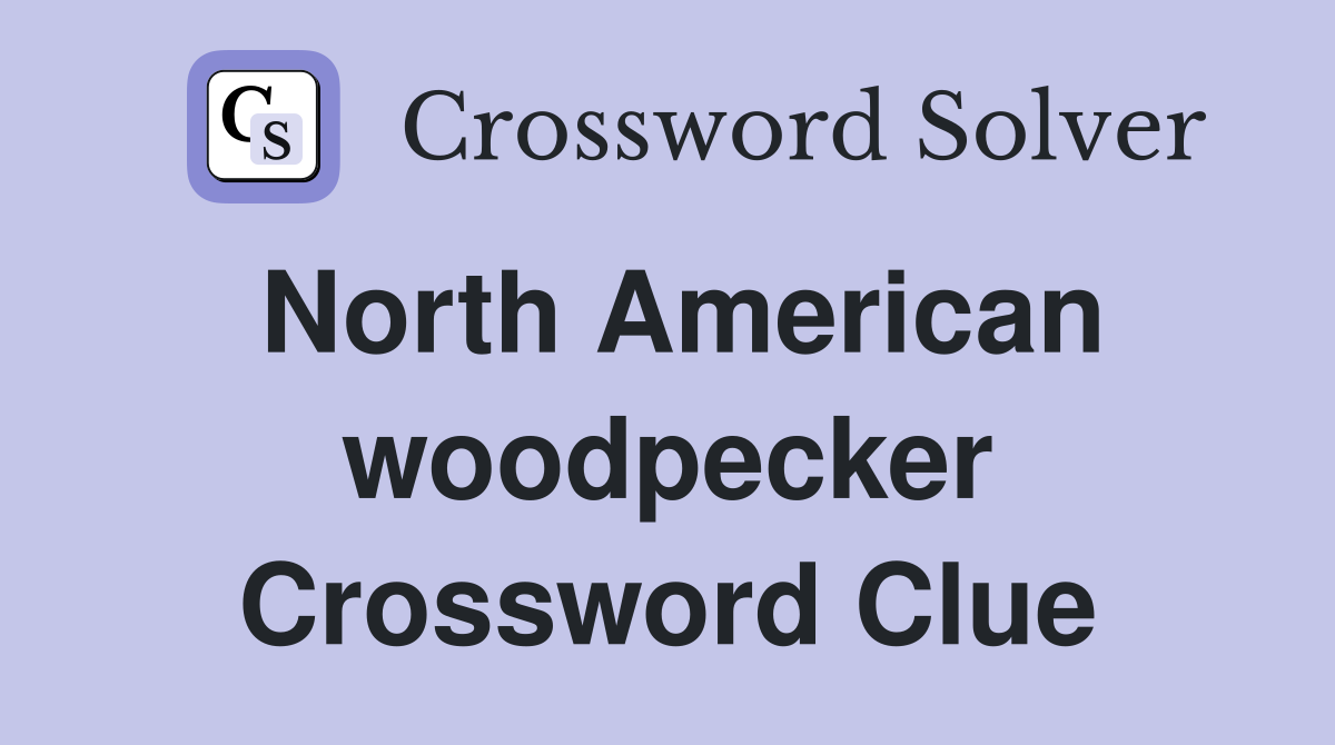 North American woodpecker Crossword Clue