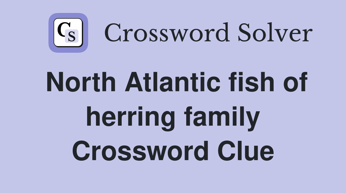 North Atlantic fish of herring family Crossword Clue