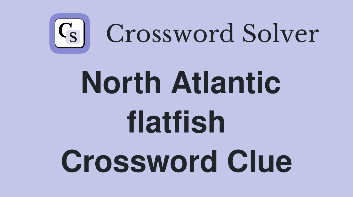 North Atlantic flatfish Crossword Clue