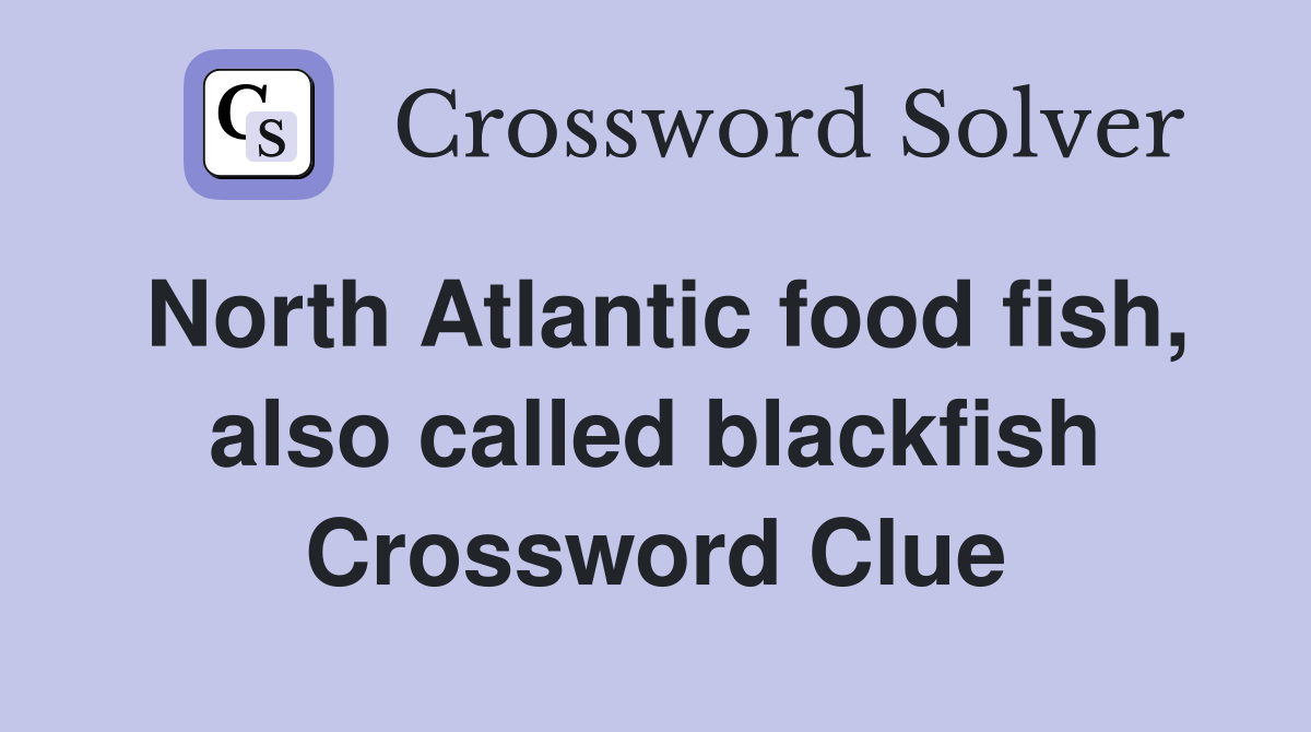 North Atlantic food fish, also called blackfish Crossword Clue