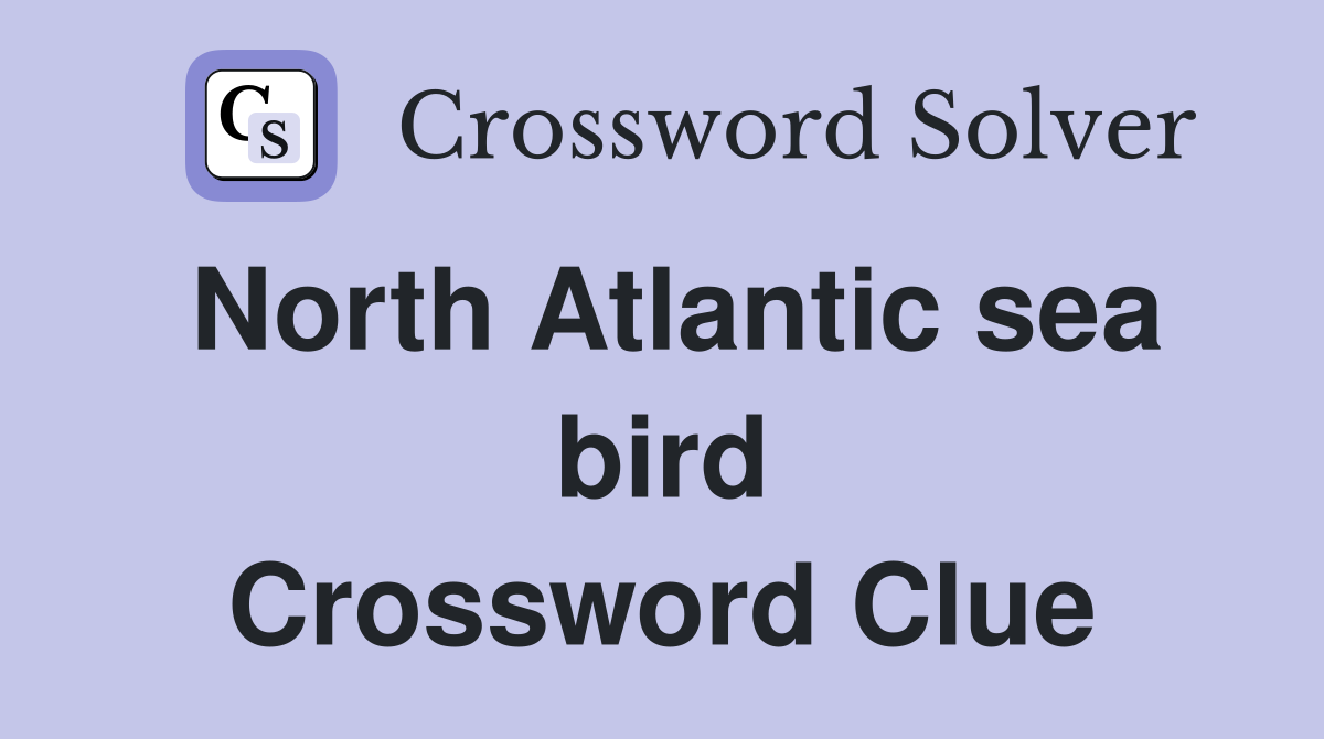 North Atlantic sea bird Crossword Clue