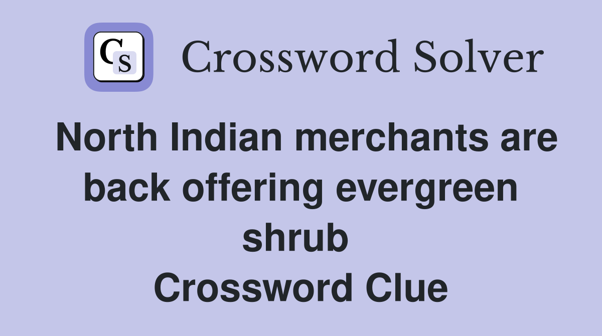 North Indian merchants are back offering evergreen shrub  Crossword Clue