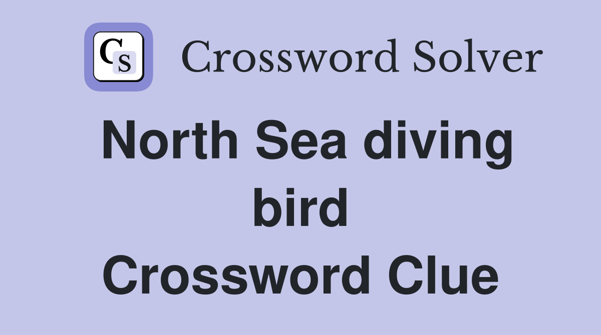 North Sea diving bird Crossword Clue
