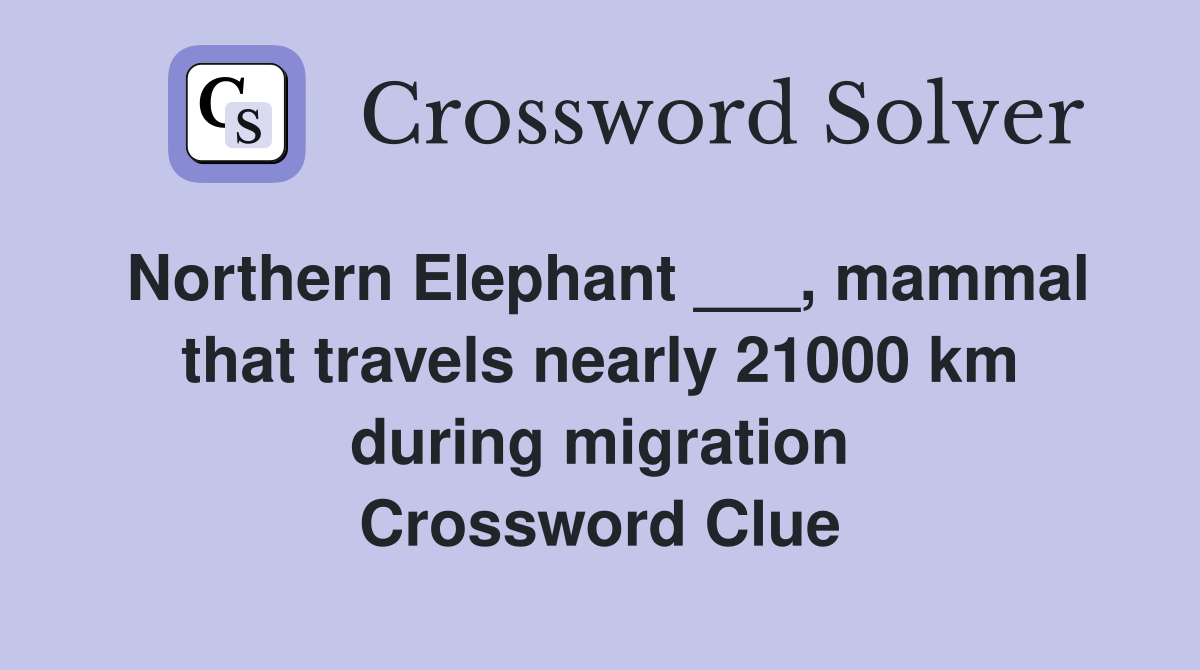 Northern Elephant ___, mammal that travels nearly 21000 km during migration Crossword Clue