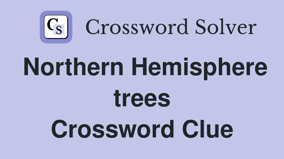 Northern Hemisphere trees Crossword Clue