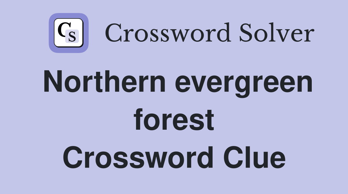Northern evergreen forest Crossword Clue