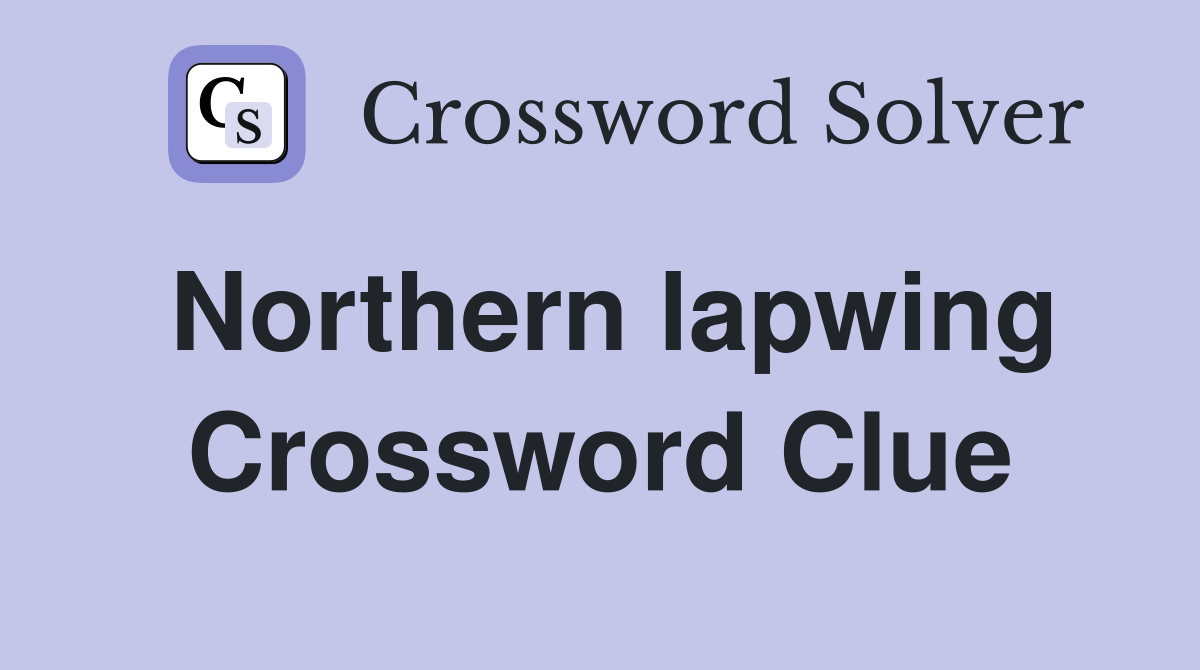 Northern lapwing Crossword Clue