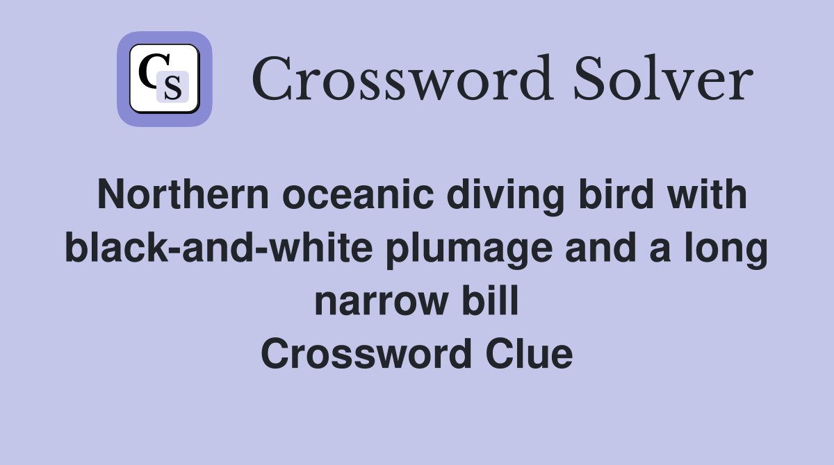 Northern oceanic diving bird with black-and-white plumage and a long narrow bill Crossword Clue