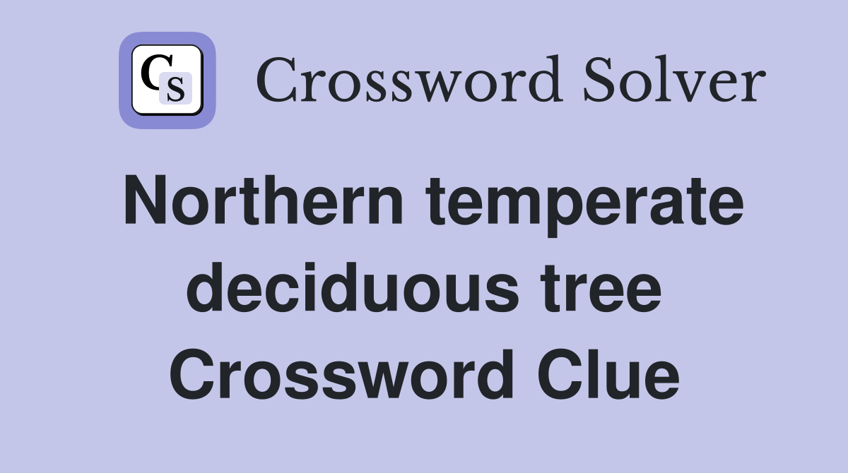 Northern temperate deciduous tree Crossword Clue