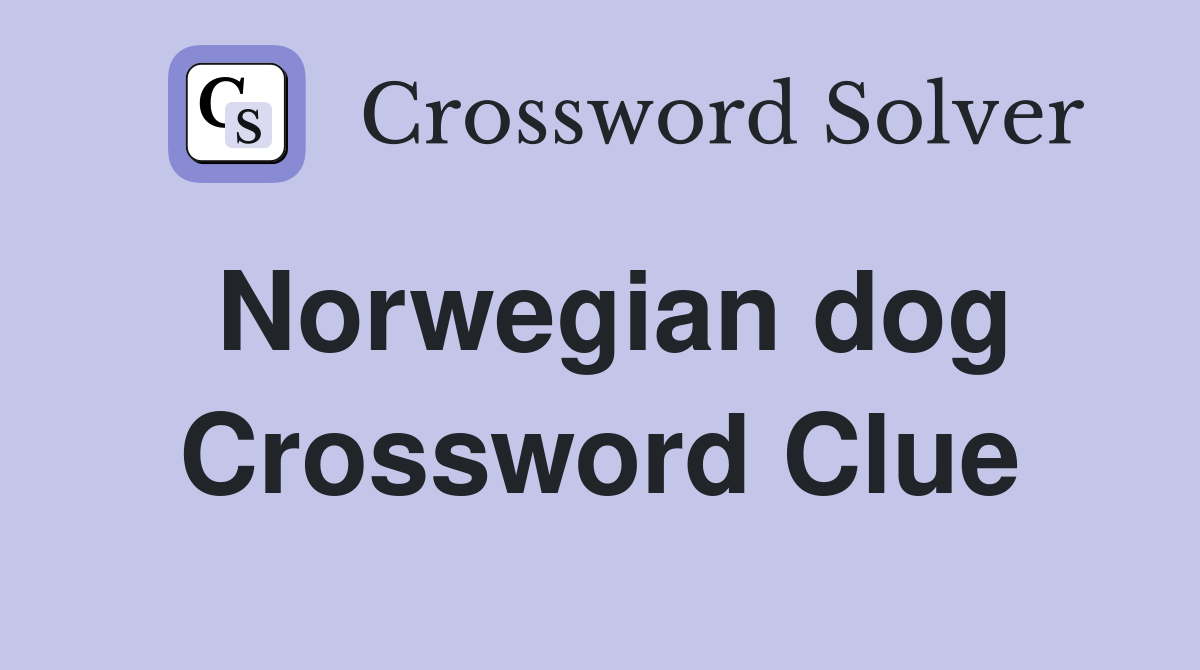 Norwegian dog Crossword Clue