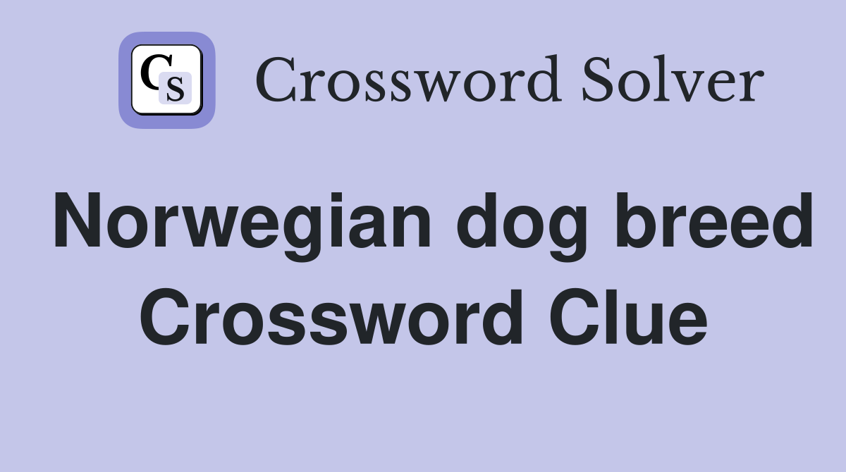 Norwegian dog breed Crossword Clue