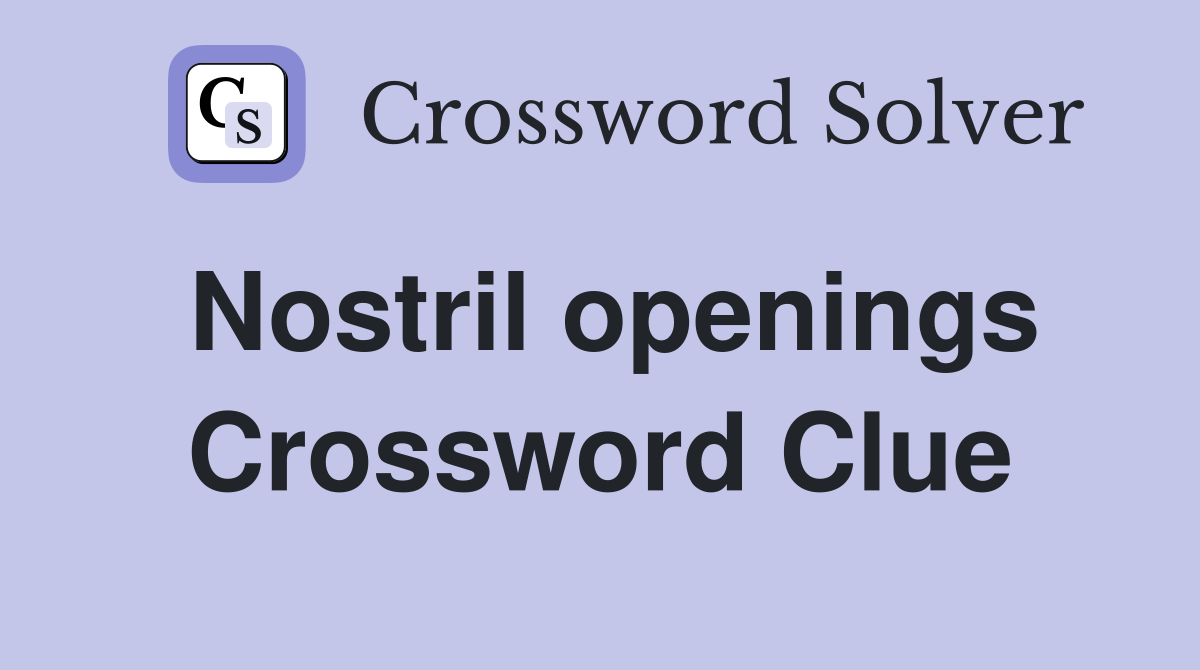 Nostril openings Crossword Clue