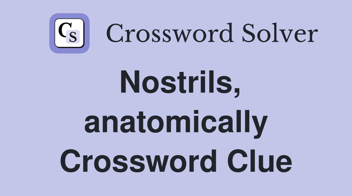 Nostrils, anatomically Crossword Clue