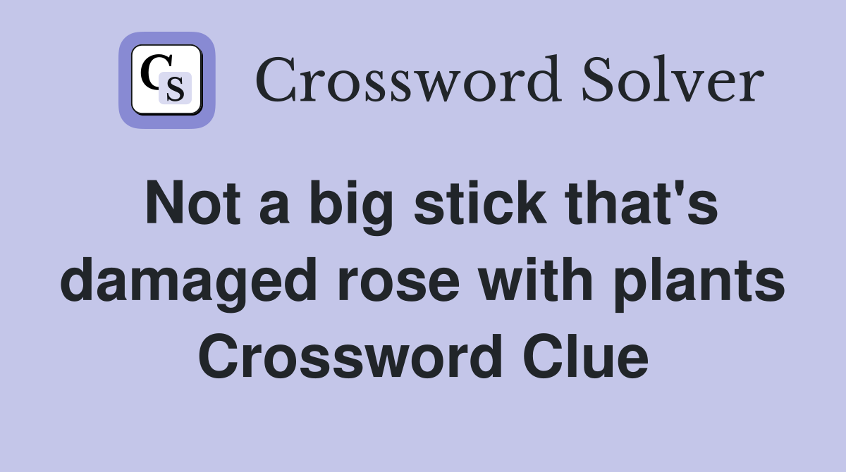 Not a big stick that's damaged rose with plants Crossword Clue