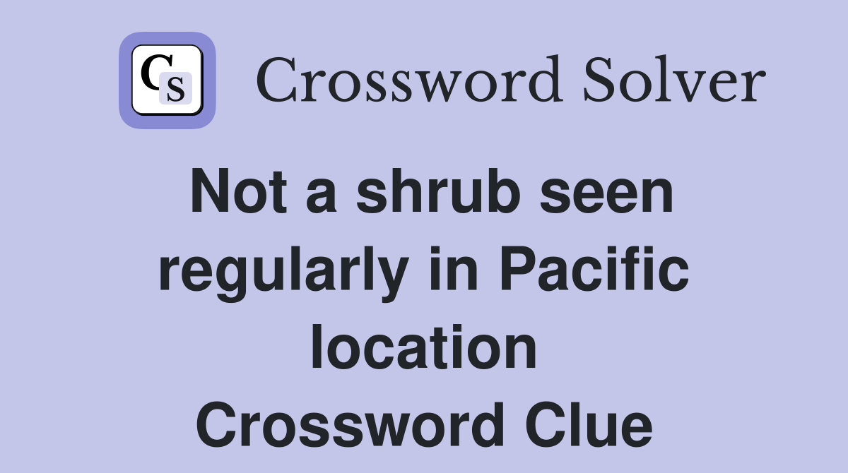 Not a shrub seen regularly in Pacific location Crossword Clue
