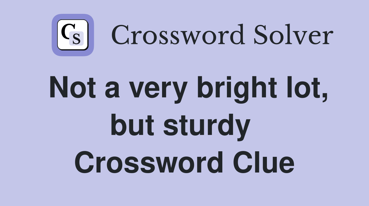 Not a very bright lot, but sturdy  Crossword Clue