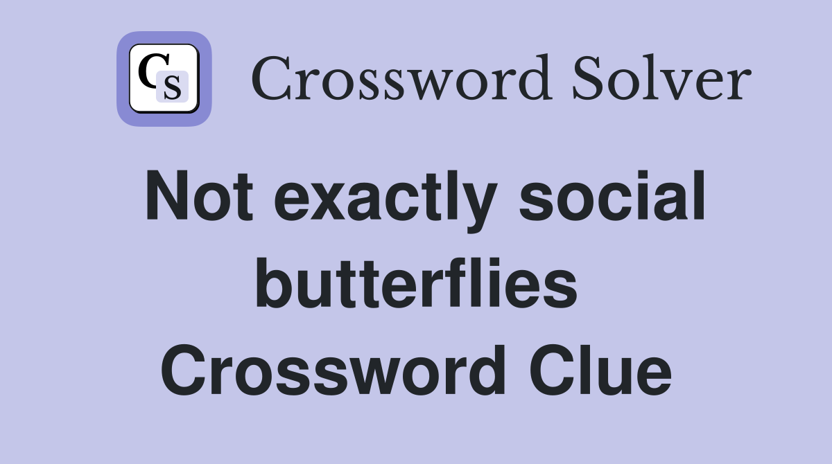 Not exactly social butterflies Crossword Clue