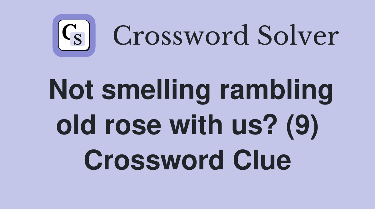 Not smelling rambling old rose with us? (9) Crossword Clue
